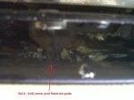 IMG01430-20110922-1502.jpg