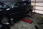 DSC03503.jpg
