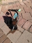 Road surface Sidewalk Street light Shadow Cobblestone